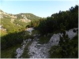 Koča pri Savici - Planina za Migovcem